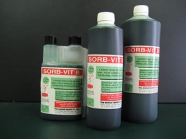 Sorb - Vit B 500 ml